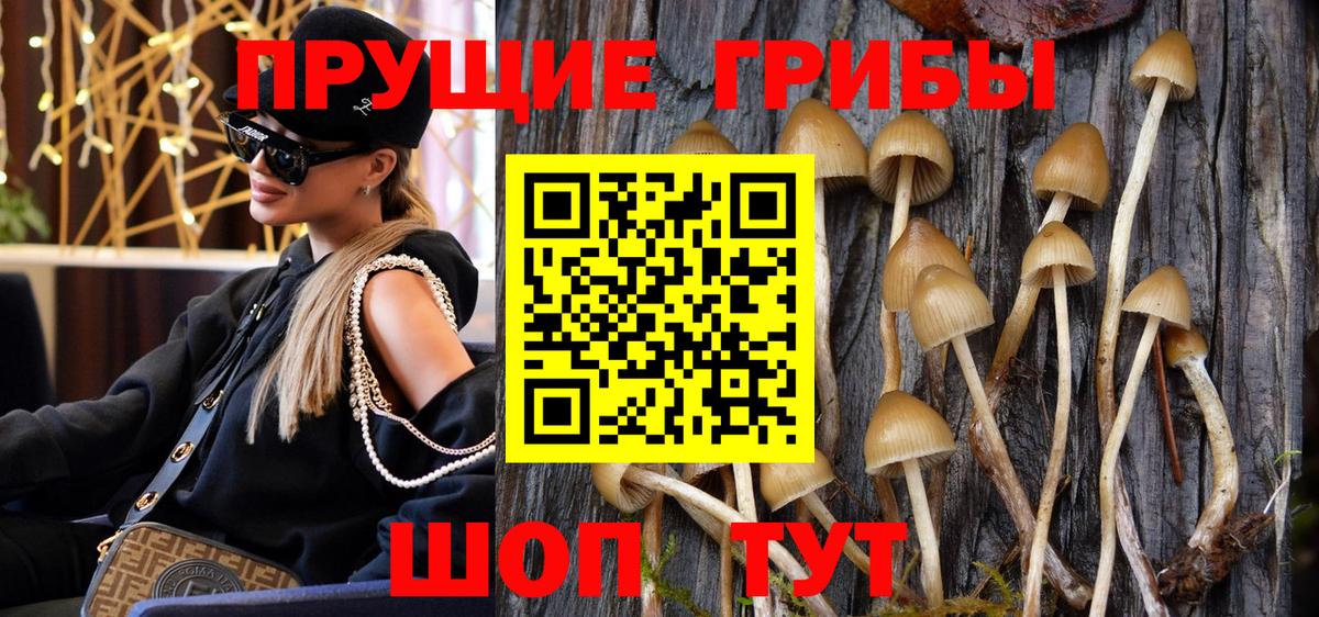 Галлюциногенные грибы мухоморы  Вход с VPN  Галлюциногенные грибы ЛСД  Асбест 